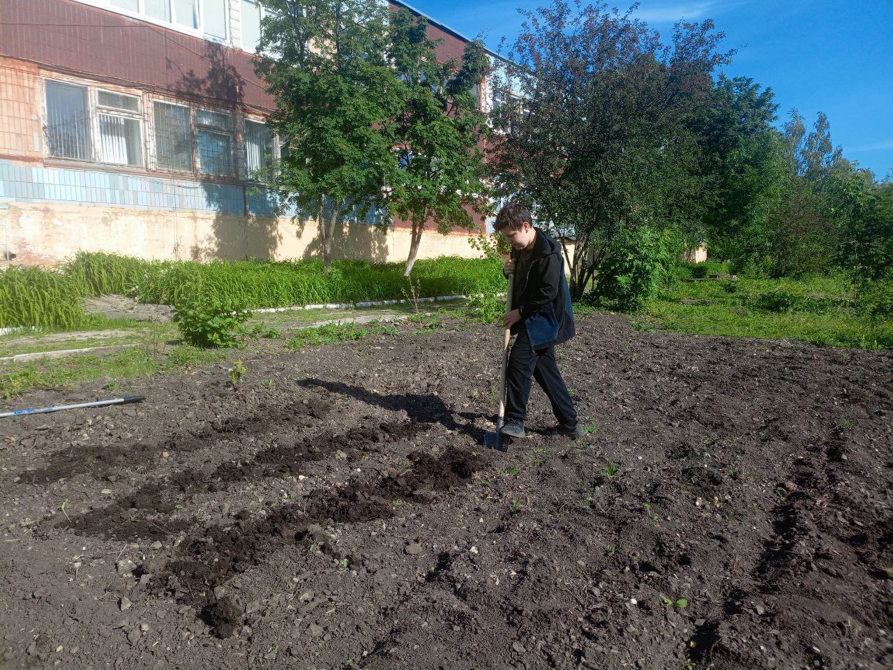 Трудовая четверть.
