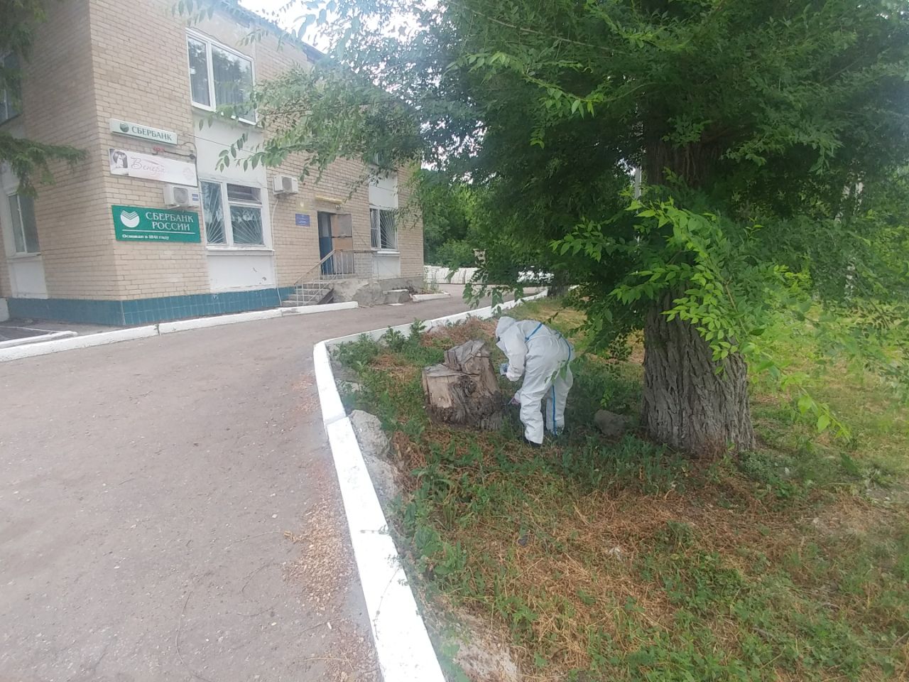 Благоустройство территории.